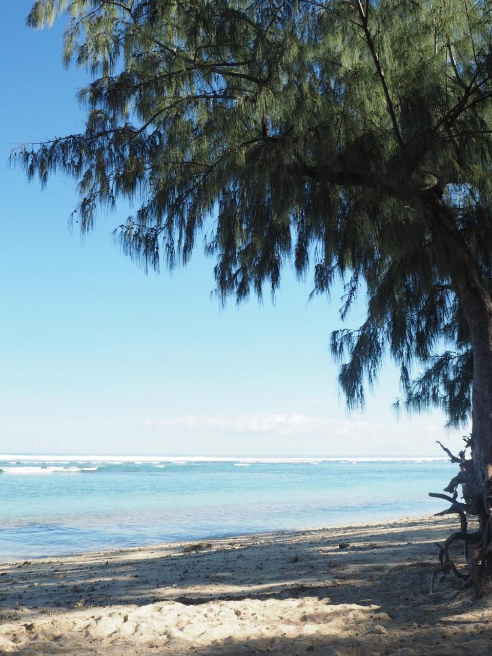 شقة Escale Tropicale, Appart Vue Mer A 2 Min Du Lagon سان جيل لي بان المظهر الخارجي الصورة